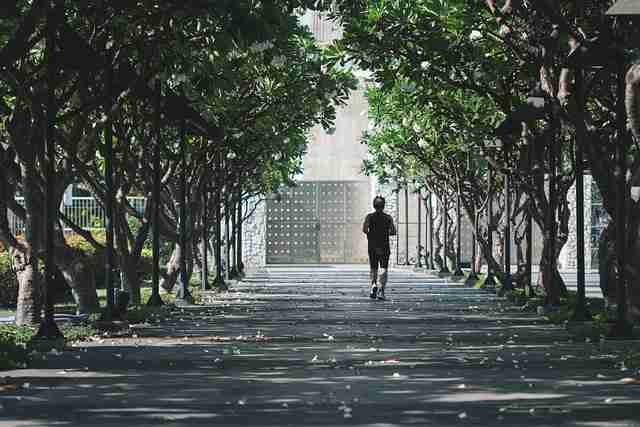 焕新·裂变路径|蘑菇影视在线观看|暗黑|终极宝典