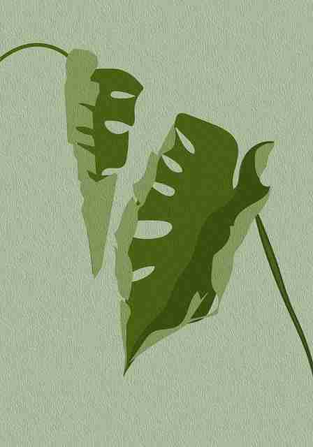 狂想·关键节点｜p站官网入口｜原汁原味｜超前解锁